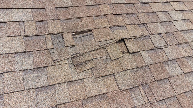 Shingle Patch Repair